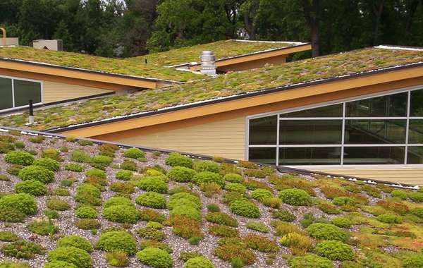 海伦·舒勒自然中心的商业生活绿色屋顶