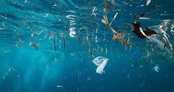 Why Recycling Plastics Needs Legislation to be Effective