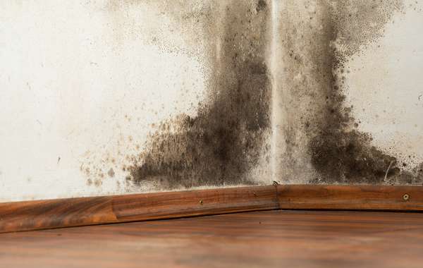 空调房内的多聚蒸汽屏障会导致霉菌和腐烂